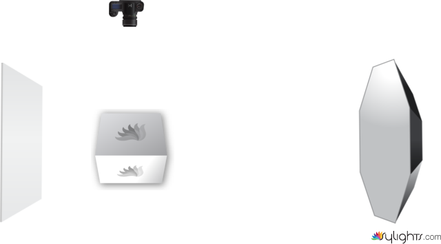 Mandarina_Foto 1 by Guest User