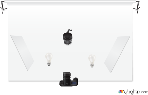 CatDiagram by Guest User