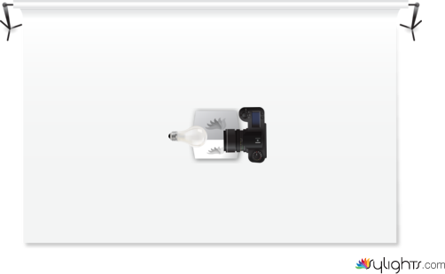 PurseDiagram by Guest User