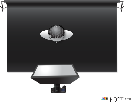 Papillon by Guest User