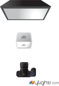 Reflective by Guest User