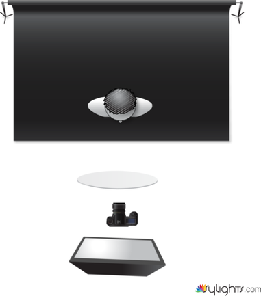 Papillon by Guest User