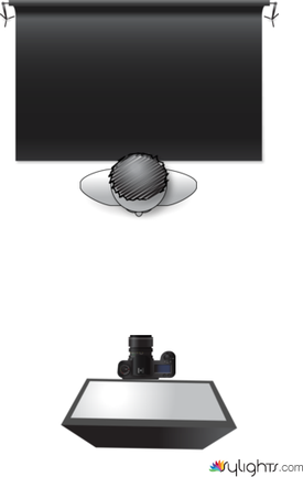 Papillon by Guest User