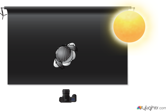 drhbweftgwert by Guest User