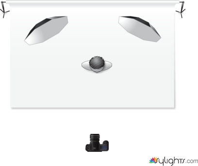 Badger by Guest User