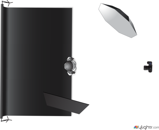 primero by Guest User