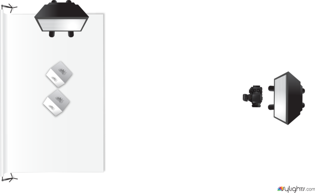 sigona by Guest User