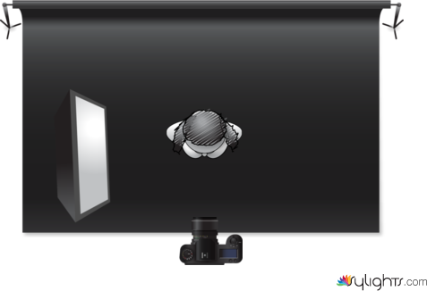 Rembrandt Lighting by Guest User