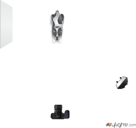 Tarea_03 by Guest User