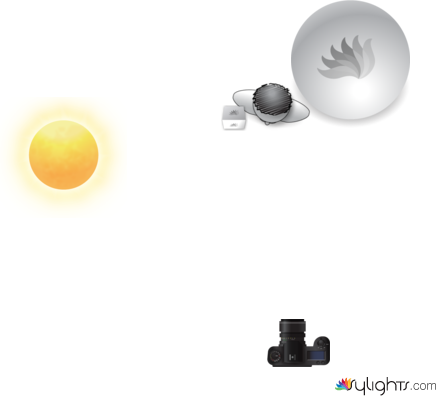 boy and dog by Guest User