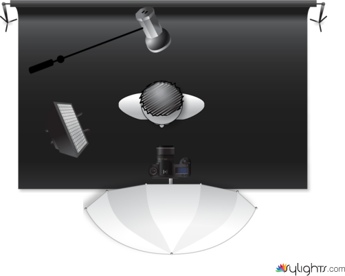 portait officiel by Guest User