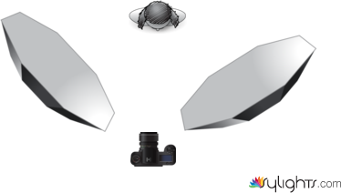 little princess by Guest User