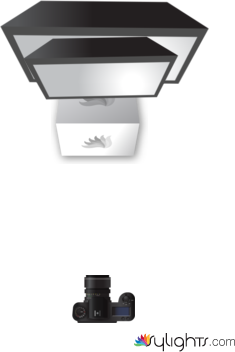 Beer Pour by Guest User