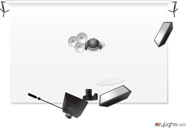 light 2 by Guest User