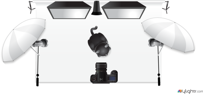 trabajo by Guest User