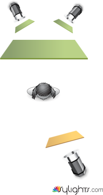 luz verde 1 by Guest User