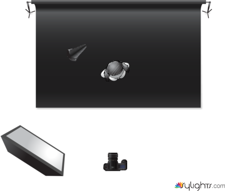 rembrandt by Guest User