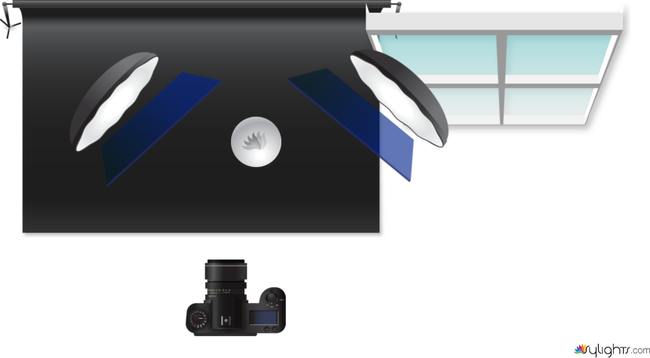 Splash by Guest User