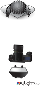 mariposa by Guest User