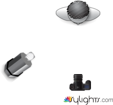 Lazo 3/4 by Guest User