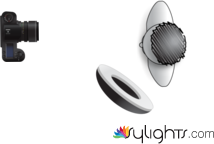 Rembrandt by Guest User