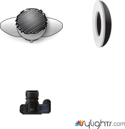 Rembrandt by Guest User