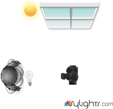 Durante by Guest User