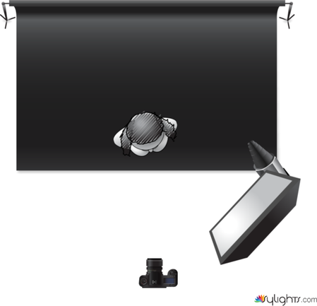 portrait by Guest User