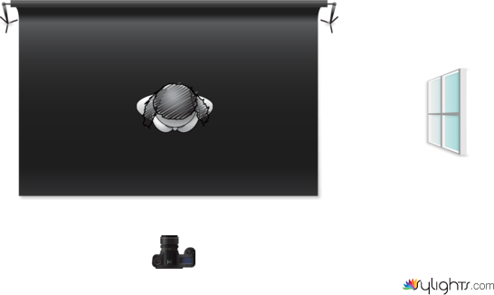 PROFILE by Guest User