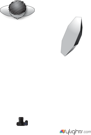 location 4 by Guest User