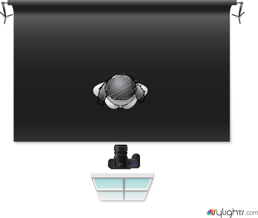 01potr by Guest User