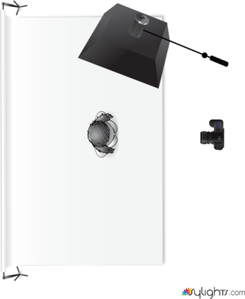 rembrandt by Guest User