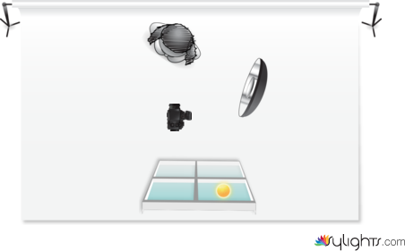 carolina  by Guest User