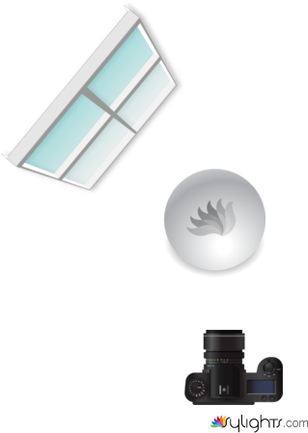 //////// by Guest User