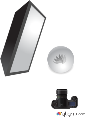 //////// by Guest User