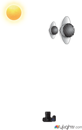 asasasasa by Guest User