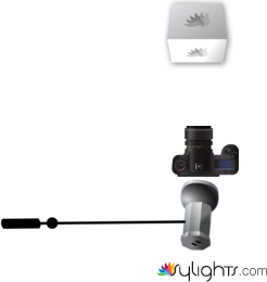 davanti by Guest User