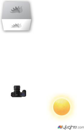 roankadh by Guest User