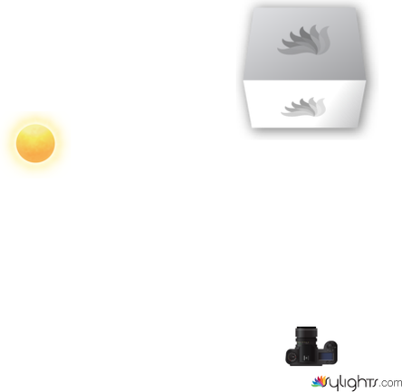 smndjshf by Guest User