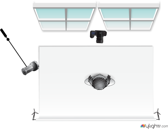 Beauty Shot again by Guest User