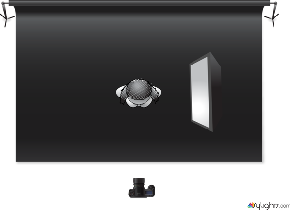 Light 1 by Guest User