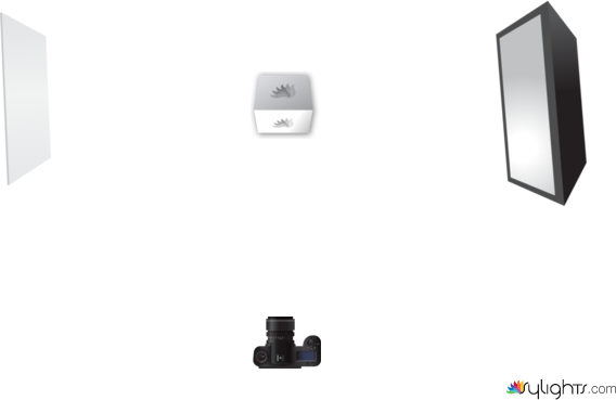 Reflejantes by Guest User