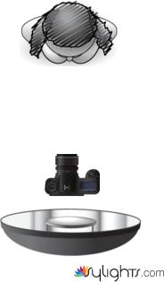 sample by Guest User