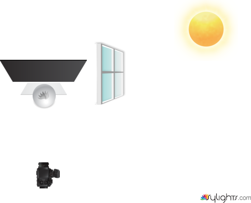 RM flower by Guest User