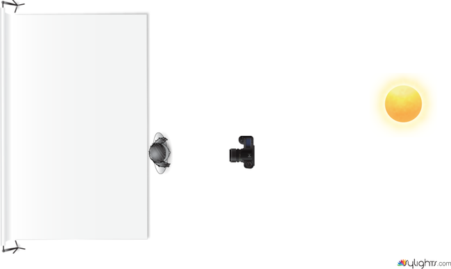 dijete dijagram by Guest User