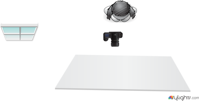 hghjghghg by Guest User