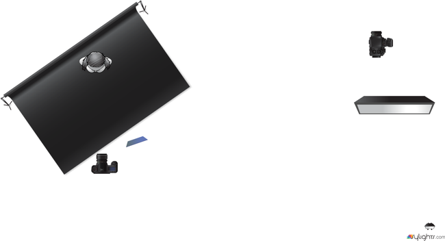 molly  by Guest User