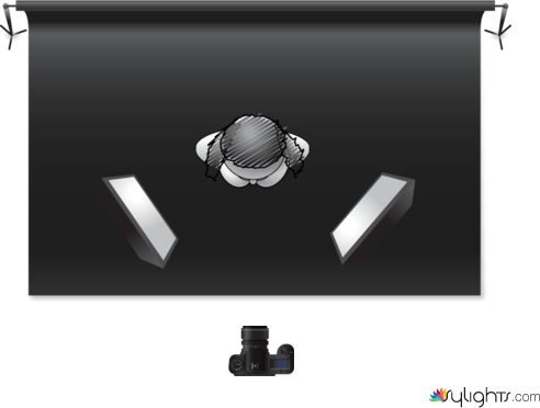 luce p by Guest User