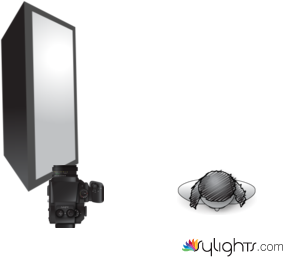 light 3 by Guest User