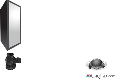 light 2 by Guest User